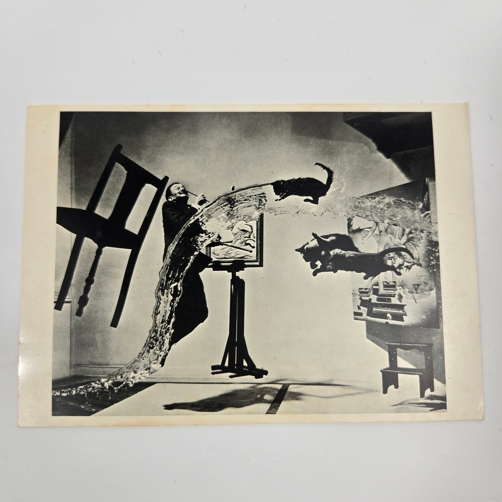 Vintage Dali Atomicus Postcard Philippe Halsman Surrealist Art Cats 79 Hollywood